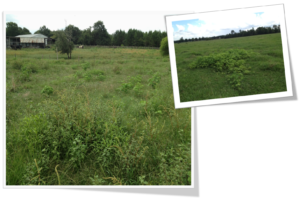 Cover photo for Pasture Management Session at NC Annual Ext. Conference